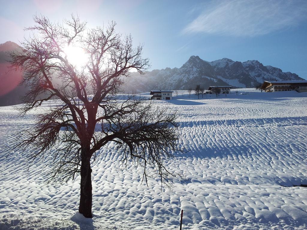 Chalet Glockenhof Walchsee Eksteriør bilde