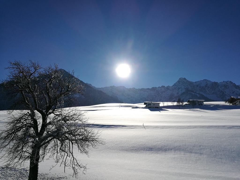 Chalet Glockenhof Walchsee Eksteriør bilde