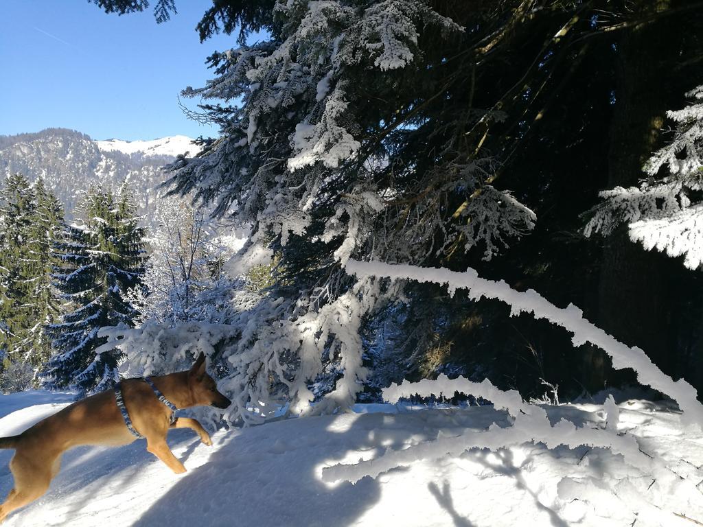 Chalet Glockenhof Walchsee Eksteriør bilde