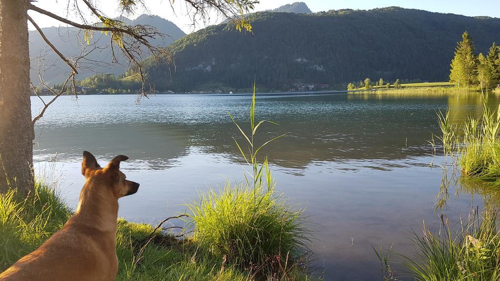 Chalet Glockenhof Walchsee Eksteriør bilde