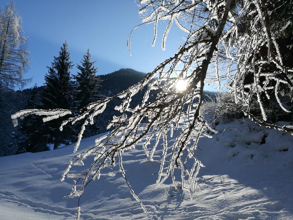 Chalet Glockenhof Walchsee Eksteriør bilde